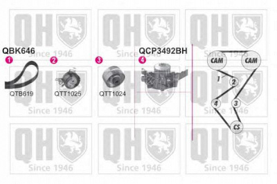 QUINTON HAZELL qbpk6460 -  Водяной насос + комплект зубчатого ремня